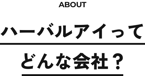 ABOUT ハーバルアイって どんな会社？