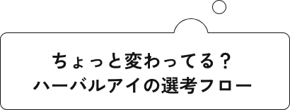 ちょっと変わってる？ハーバルアイの選考フロー